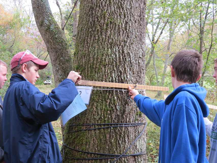 Students measuring a tree using a Biltmore stick.